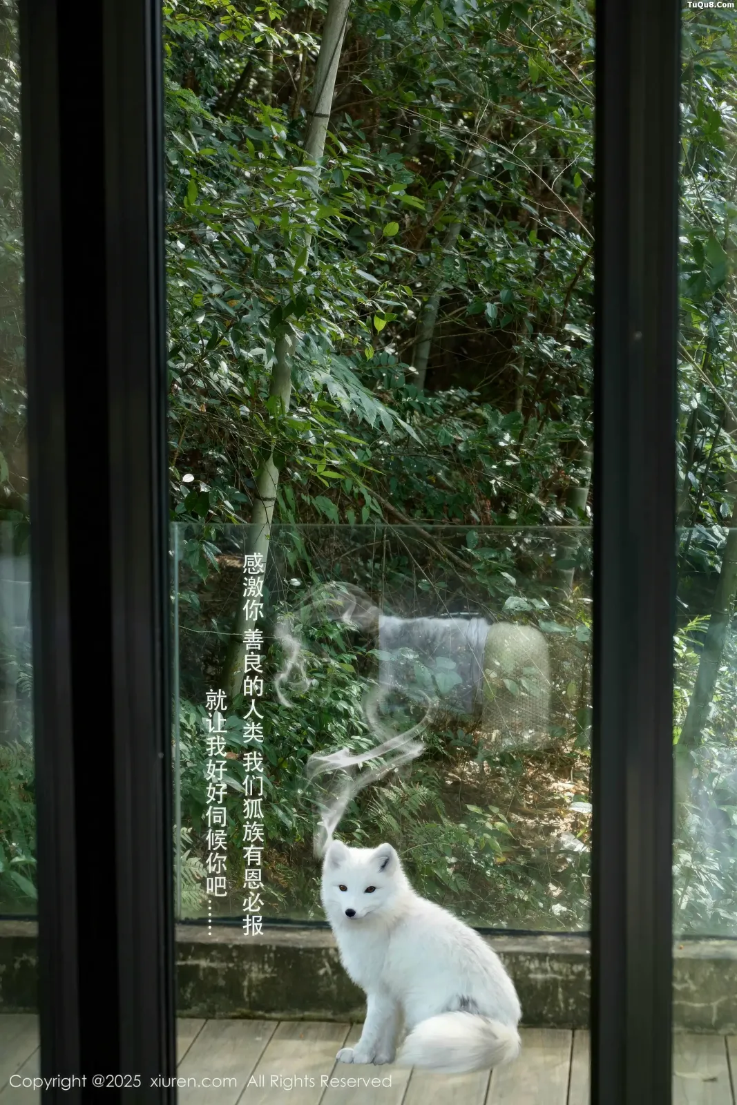 XiuRen No.11068 尹甜甜 XiuRen No.11068 尹甜甜